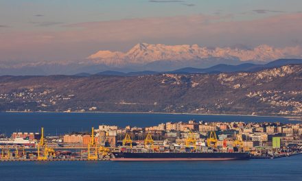 Porto di Trieste, quadrimestre in crescita per container, Ro-Ro e ferrovia