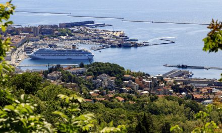 Crociere, Trieste si candida ma a Venezia si protesta