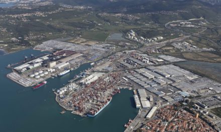 Port of Koper, half-year growing: leap for containers (+ 7%) and cars (+ 22%)