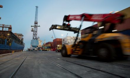 Port of Venice, increasing semester but containers decrease