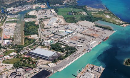 Steel and steel products arriving in Trieste and Monfalcone