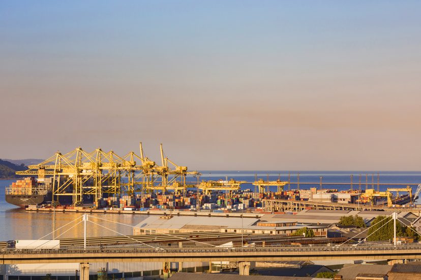 Porto di Trieste, manifestazione dispersa con idranti