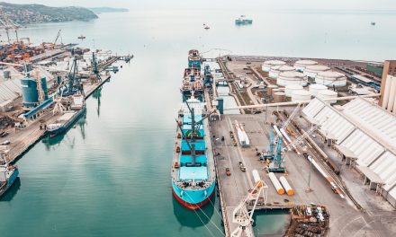 Porto di Capodistria, in crescita le merci varie e nuovi spazi al terminal container
