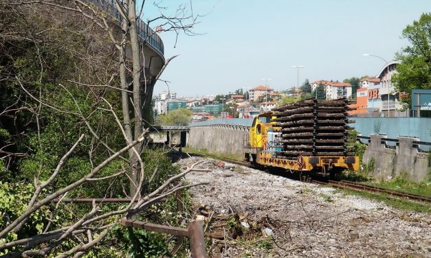 Raccordo ferroviario da Aquilinia all’area FreeEste-Wartsila: partiti i lavori