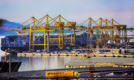 Porto di Trieste, TMT: trimestre in crescita (+5,7%) per i container e terminal congestionato
