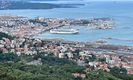 Crociere, complice maltempo a Venezia, Trieste e Monfalcone fanno il pieno di navi e passeggeri