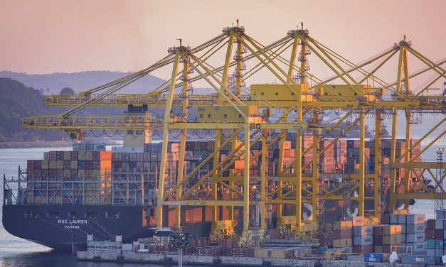 MSC reshapes Hadria and moves to strengthen the Port of Trieste<h2 class='anw-subtitle'>The shipping line has scaled back the feeder service, focusing it on the Northern Adriatic</h2>