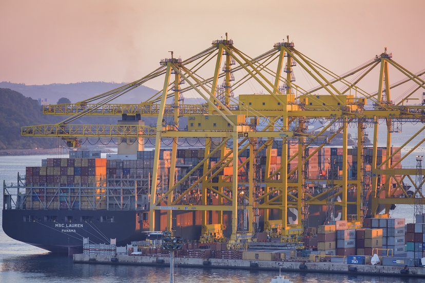 Trieste Marine Terminal, TO Delta valuta cessione quote: ipotesi MSC o Fondo investimento
