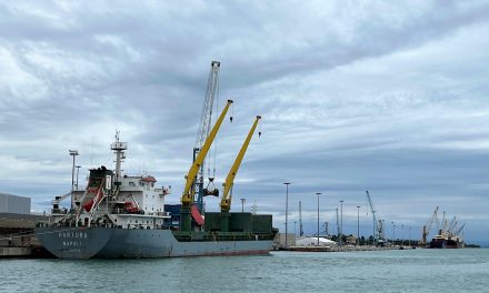 Porto di Monfalcone, Ati fra Compagnia Portuale e MarterNeri<h2 class='anw-subtitle'>Rimandata la fusione tra le due aziende. Oggi il nuovo ad di FHP in visita al Comune</h2>