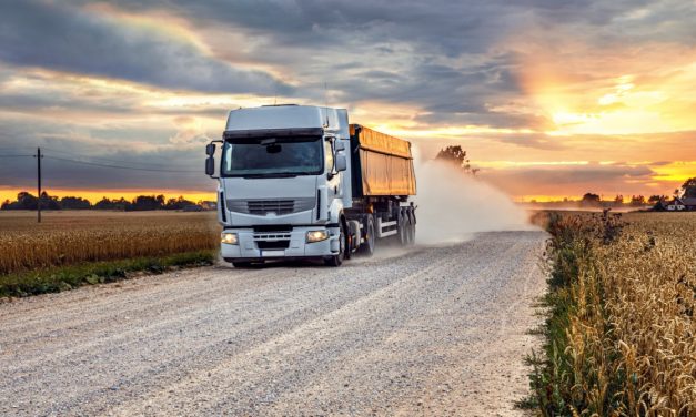 Rail Cargo Group: una piattaforma gratuita per vendere il grano ucraino