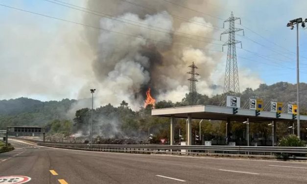 Porto di Trieste, treni bloccati da incendio sul Carso