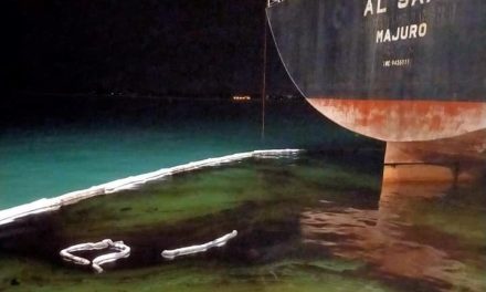 Porto di Monfalcone, sversamento di carburante inquina la spiaggia<h2 class='anw-subtitle'> Ordinanza del sindaco per vietare la balneazione dopo l'incidente di ieri sulla banchina di Portorosega</h2>