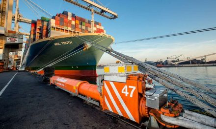 Porti, forte aumento movimentazione container a livello mondiale<h2 class='anw-subtitle'>I dati di Alphaliner nel primo semestre 2024. Rotterdam primo tra gli scali europei</h2>