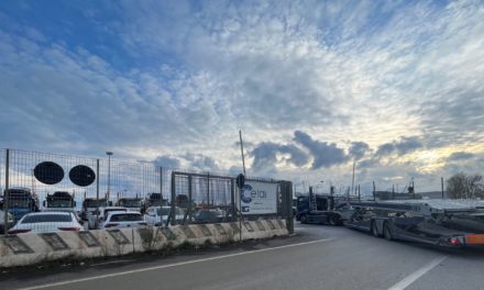 Cetal (Gruppo Grimaldi) amplia spazi e traffici al porto di Monfalcone<h2 class='anw-subtitle'>In attesa della nuova concessione, la società vuole aumentare la movimentazione delle automobili via ferrovia</h2>