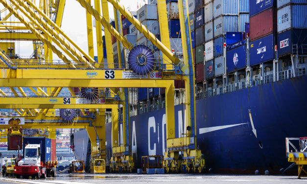 Consalvo: “Trieste must accelerate on Pier VIII and the Free Port”<h2 class='anw-subtitle'>Audition at the Transport Committee for the candidate president of the Port System Authority of the Eastern Adriatic Sea</h2>