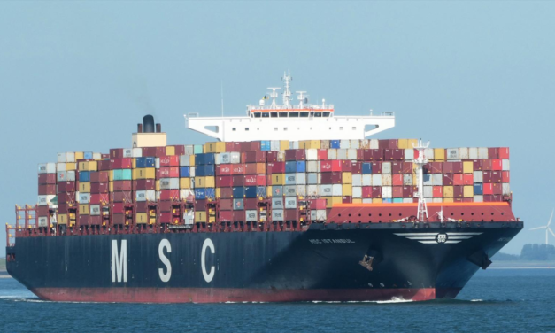 Nave MSC incagliata e subito liberata nel Canale di Suez
