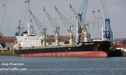 Capitaneria di porto ferma nave a Trieste<h2 class='anw-subtitle'>Pesanti violazioni delle norme di sicurezza per una general cargo: nei prossimi giorni una nuova ispezione di verifica</h2>