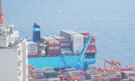 Porto di Fiume, iniziata rimozione della gru caduta per il vento<h2 class='anw-subtitle'>Entro due anni il terminal container di Brajdica avrà due nuove Panamax</h2>