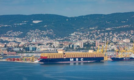 Al Molo VII la nave più grande mai entrata nel porto di Trieste<h2 class='anw-subtitle'>La “Nicola Mastro” di MSC è ormeggiata da stamattina al terminal container: lunedì un evento per festeggiarla</h2>
