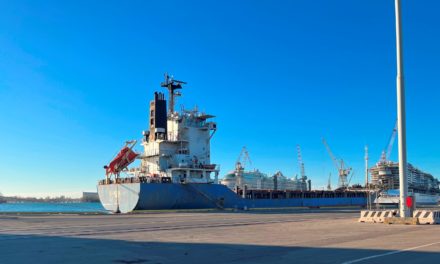 Nave Al Filk, emergenza umanitaria: chiesto intervento Regione<h2 class='anw-subtitle'>La portacontainer in banchina al porto di Monfalcone resta bloccata dopo più di nove mesi</h2>