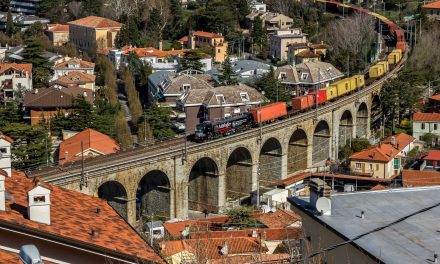 Adriafer manovra anche l’acciaio Arvedi<h2 class='anw-subtitle'>Al porto di Trieste circa 1000 treni all'anno in più per la controllata dell'Autorità portuale</h2>