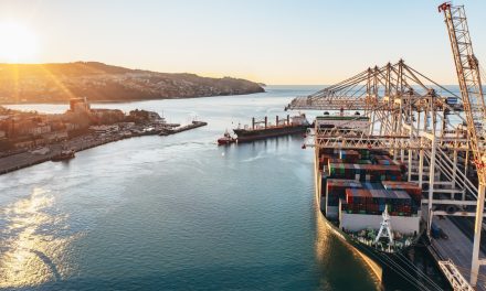 Anno da record per il porto di Capodistria<h2 class='anw-subtitle'>In attesa dei dati ufficiali, superati 1,13 milioni di Teu e nuovi primati in diversi terminal</h2>