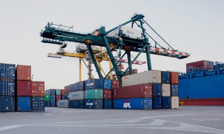 Chiude il 2024 in calo il terminal Venice Vecon<h2 class='anw-subtitle'>Record annuale, invece, per la casa madre PSA International Pte Ltd. Proseguono gli investimenti a Porto Marghera</h2>