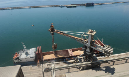 Porto di Fiume sigla accordo con Egitto<h2 class='anw-subtitle'>Coinvolto lo scalo di Alessandria: memorandum offre una grande opportunità per il traffico di cereali</h2>