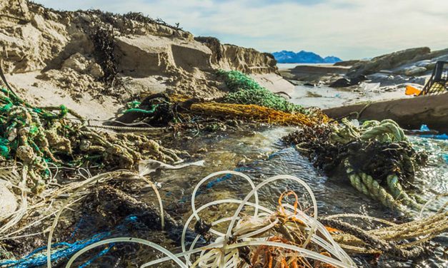 Regione Fvg e Guardia costiera: protocollo per sorveglianza marina<h2 class='anw-subtitle'>OGS ha reso noto un report della Commissione Ue che rileva un calo dei rifiuti lungo le coste europee</h2>