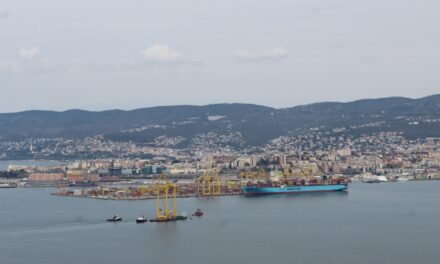 Al Molo VII di Trieste la prima delle nuove gru<h2 class='anw-subtitle'>Arrivata oggi verso le 13 dopo il viaggio da Porto Marghera</h2>