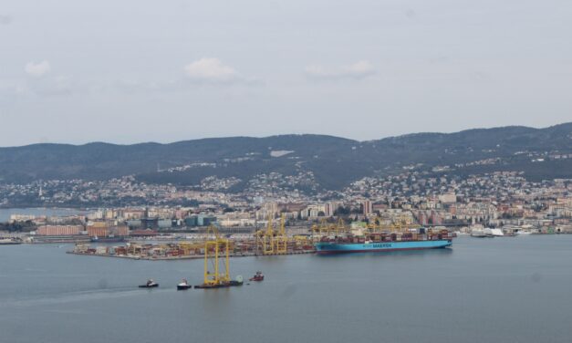 Al Molo VII di Trieste la prima delle nuove gru<h2 class='anw-subtitle'>Arrivata oggi verso le 13 dopo il viaggio da Porto Marghera</h2>