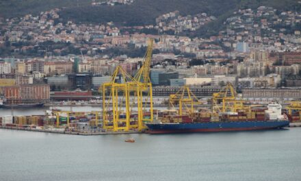Porto di Trieste, sbarcata anche la seconda gru al Molo VII<h2 class='anw-subtitle'>Con l'arrivo della nuova STS Liebherr, TMT è pronta ad accogliere le megaportacontainer</h2>