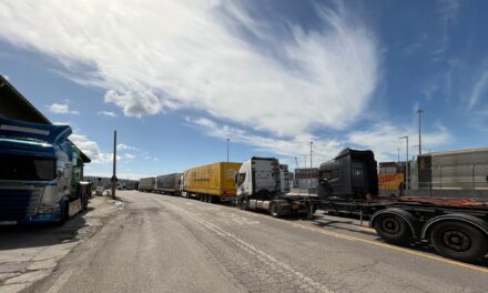 Port of Trieste, hauliers protest over access chaos at the Logistics Platform<h2 class='anw-subtitle'>Trade associations criticize waiting times and work organization, but the goal remains to safeguard traffic volumes</h2>
