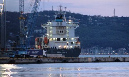 Porto di Trieste, primo Feeder dell’alleanza Gemini alla Piattaforma logistica<h2 class='anw-subtitle'>La Maersk Valletta ha iniziato oggi la movimentazione dei container. Domani ripartirà per Venezia</h2>