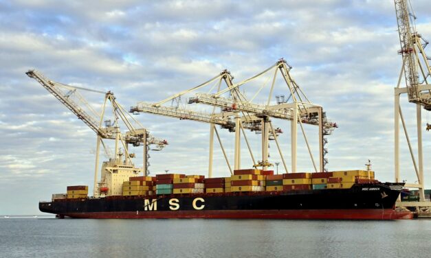 New MSC container service launched in the Northern Adriatic