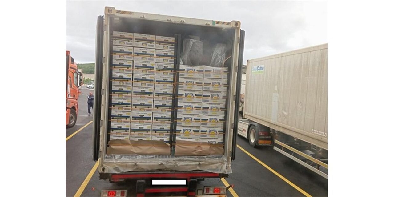 Sequestrati 85 kg di cocaina al porto di Fiume<h2 class='anw-subtitle'>Polizia e Dogana hanno trovato la droga in un container proveniente dal Sudamerica</h2>