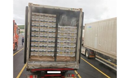 Sequestrati 85 kg di cocaina al porto di Fiume<h2 class='anw-subtitle'>Polizia e Dogana hanno trovato la droga in un container proveniente dal Sudamerica</h2>