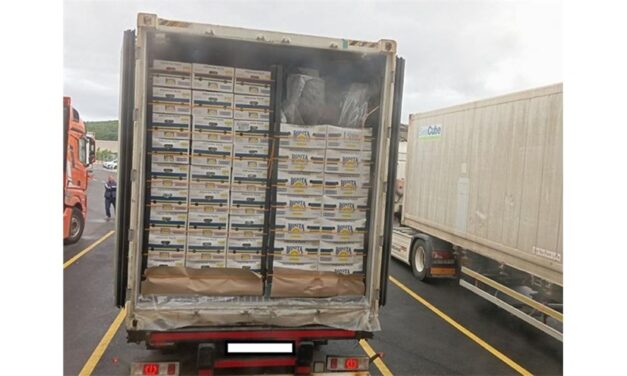 Sequestrati 85 kg di cocaina al porto di Fiume