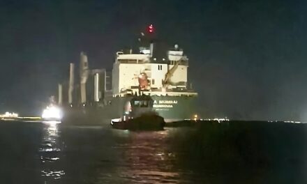 Porto di Venezia, nave in secca: interviene Guardia costiera<h2 class='anw-subtitle'>Operazione di assistenza ieri sera per un'avaria in uscita dal Canale di Malamocco</h2>