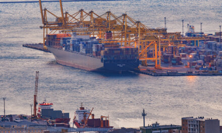 Trieste, protest at the port against ship from Israel<h2 class='anw-subtitle'>The protest began early in the morning at Gate 4, but the blockade was lifted by 9 a.m. without consequences for port operations</h2>