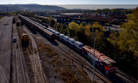 Porto di Monfalcone, nuovo locomotore per sostenere crescita traffici<h2 class='anw-subtitle'>Gli operatori sperano in un potenziamento strutturale: necessario il raddoppio della manovra interna tra banchina e stazione</h2>