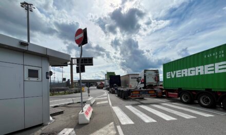 Porto di Trieste, lievi disagi per la manifestazione pro Gaza<h2 class='anw-subtitle'>Più complicata la situazione e Marghera, dove quasi 7000 persone hanno bloccato per ore l'accesso ai terminal</h2>
