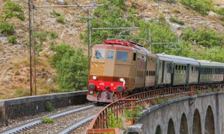 GO! Rail porta la storia e il futuro dei treni a Gorizia<h2 class='anw-subtitle'>Il 19 settembre nell’Officina Riparazione Carri Ferroviari di Adriafer Rail Services una giornata tra intermodalità e cultura</h2>