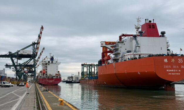 Cranes arrive at Porto Marghera for Venice Vecon<h2 class='anw-subtitle'>€8.5 million investment to increase operating capacity and reduce environmental impact</h2>