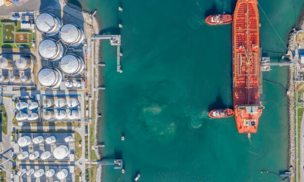 Port of Koper gas leak report: checks carried out<h2 class='anw-subtitle'>Luka Koper steps up checks and denies any poisoning cases</h2>