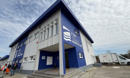 Russo, FHP Monfalcone: «More tug services and trains for port growth»<h2 class='anw-subtitle'>The new office building was inaugurated today. Authority president Consalvo: «Land connections need to be strengthened»</h2>