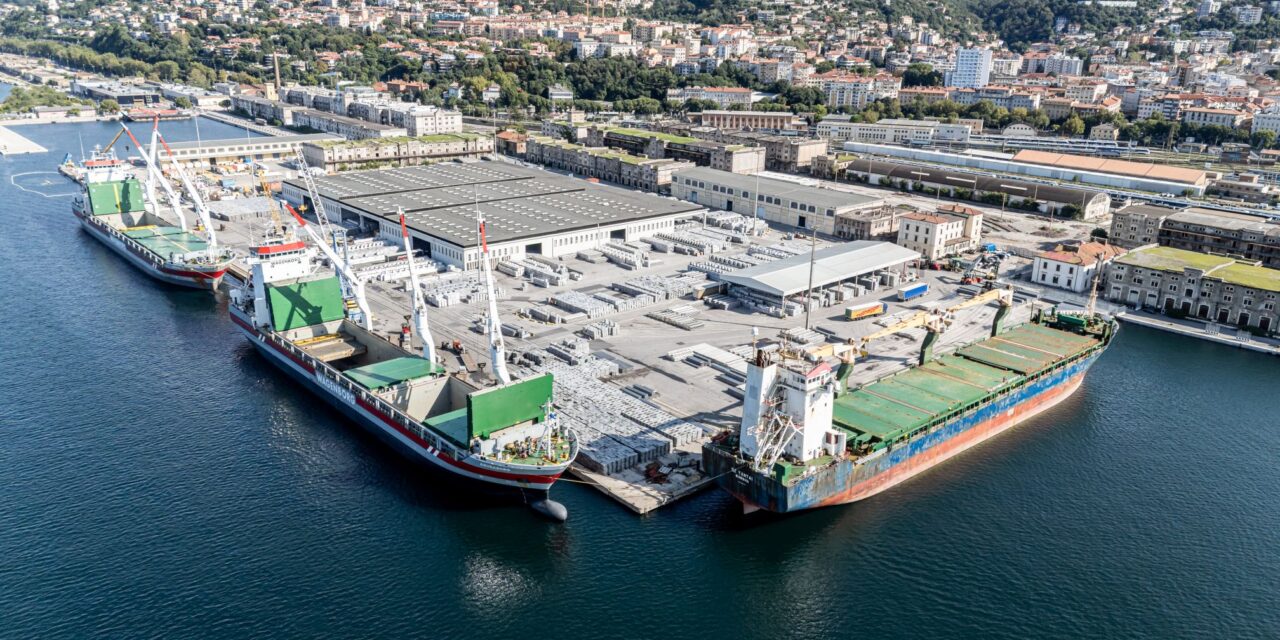 Trieste, Adriaterminal calls for plan to relocate from Porto Vecchio<h2 class='anw-subtitle'>The Steinweg group operator is open to redevelopment, but with clear timings, alternative areas and operational continuity</h2>
