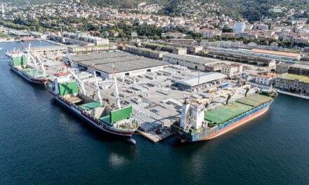 Trieste, Adriaterminal calls for plan to relocate from Porto Vecchio<h2 class='anw-subtitle'>The Steinweg group operator is open to redevelopment, but with clear timings, alternative areas and operational continuity</h2>