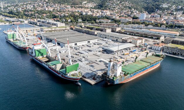 Trieste, Adriaterminal calls for plan to relocate from Porto Vecchio<h2 class='anw-subtitle'>The Steinweg group operator is open to redevelopment, but with clear timings, alternative areas and operational continuity</h2>