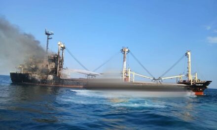 Nave mercantile colpita dai russi nel Mar Nero, dieci morti<h2 class='anw-subtitle'>La portarinfuse Golden Leo, in uscita da Odessa carica di cereali, è stata centrata da tre missili. Kiev denuncia un attacco deliberato contro la navigazione civile</h2>